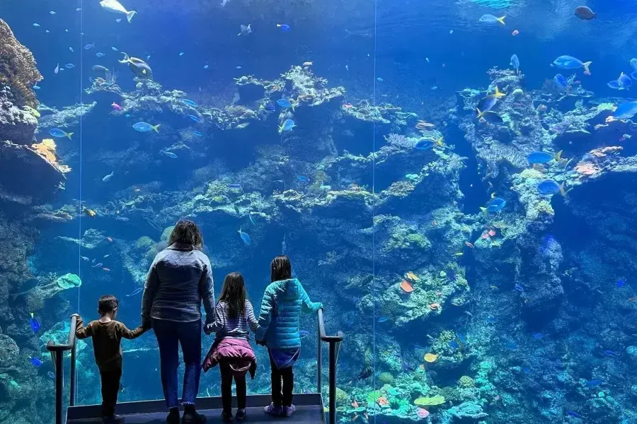 海湾边有水族馆的家庭