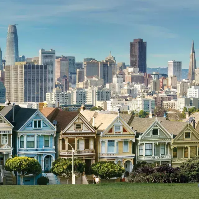 I picnic si siedono sull'erba ad Alamo Square Park con le Painted女士 e lo skyline di San Francisco sullo sfondo.